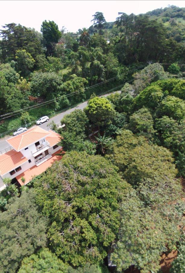 Casa Geranios Studio #3 Monteverde Dış mekan fotoğraf